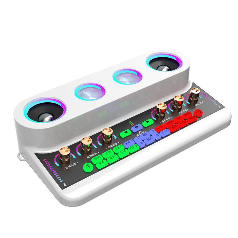 S20家庭KTV唱歌声卡音响一体机配话筒直播专用变声器户外音箱