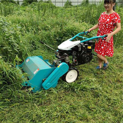 供应手推式碎草还田机柴油动力碎草机芦笋秸秆还田机