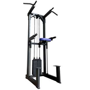 GYM Dip 健身房助力引体向上训练器背部力量器材Assisted Chin