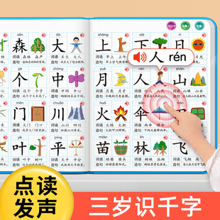识字书幼儿认字点读机识字大王3000字儿童看图发声宝宝早教卡启蒙