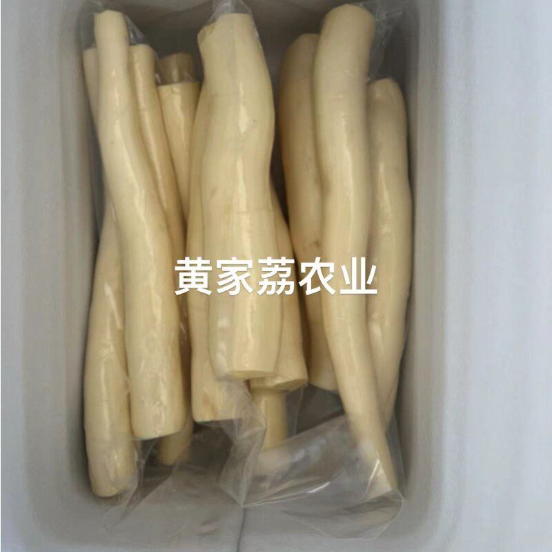 【顺丰包邮】广西去皮黄心木薯农番薯