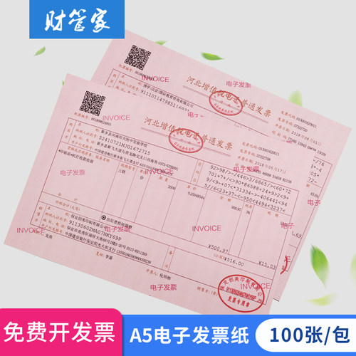 a5凭证空白打印纸电子电脑票据
