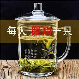 杯子耐高温个人专用水杯泡茶杯 钢化玻璃杯茶杯带把手家用防摔套装