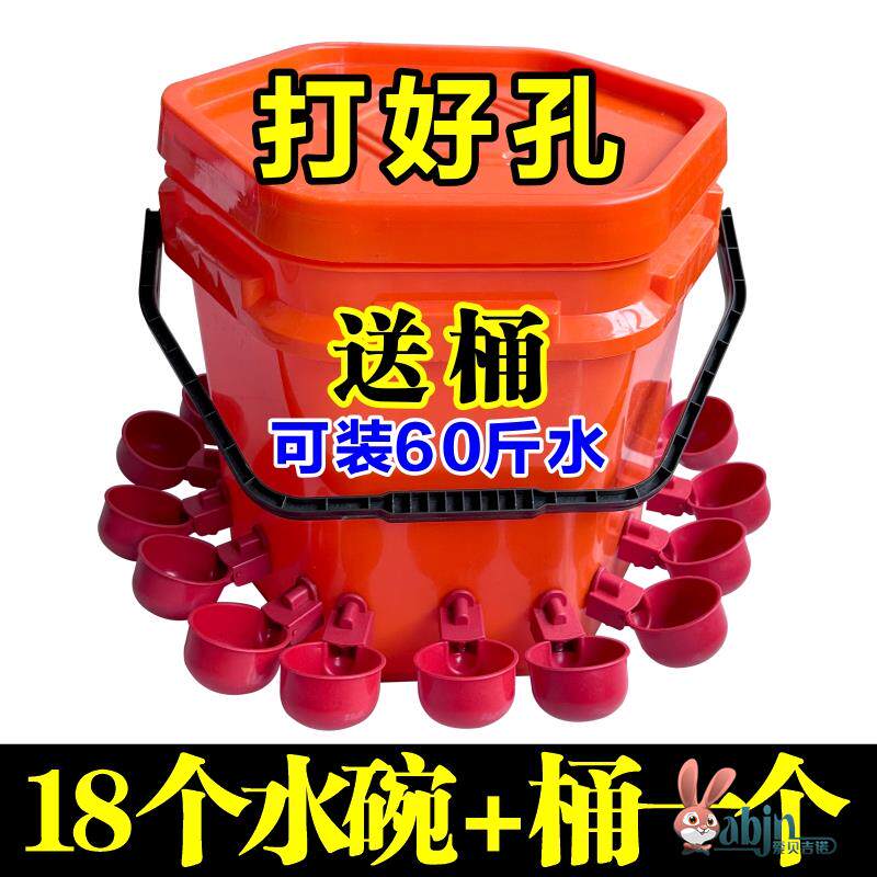 养殖鸡鸭专用水碗家禽自动饮水器鸽子养鸡水壶新款鸭子鹅喂鸡自动