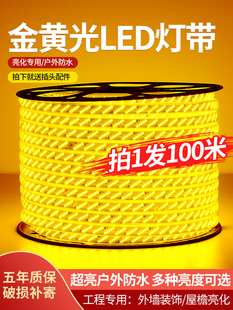 金黄光led灯带条220V工程亮化景观照明房檐外墙户外防水室外装饰