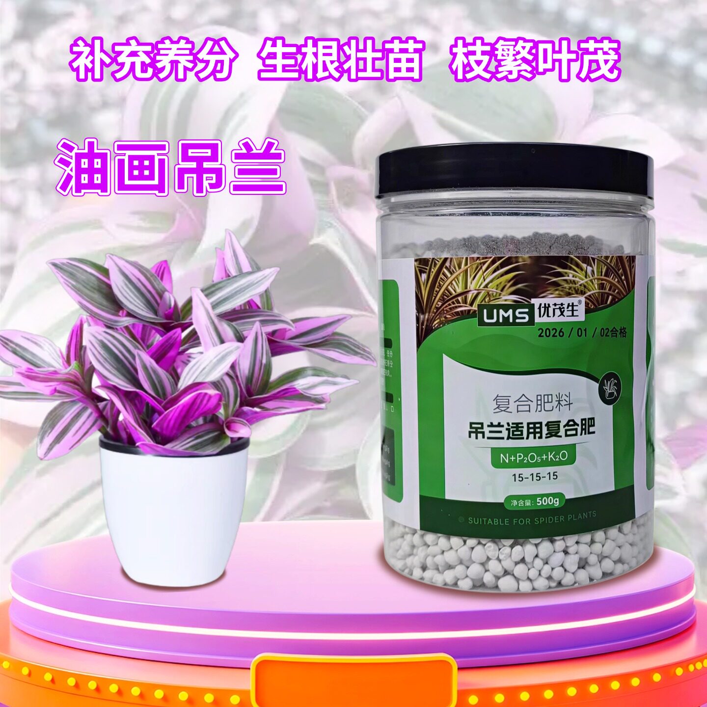 油画婚礼吊兰盆栽复合肥图片