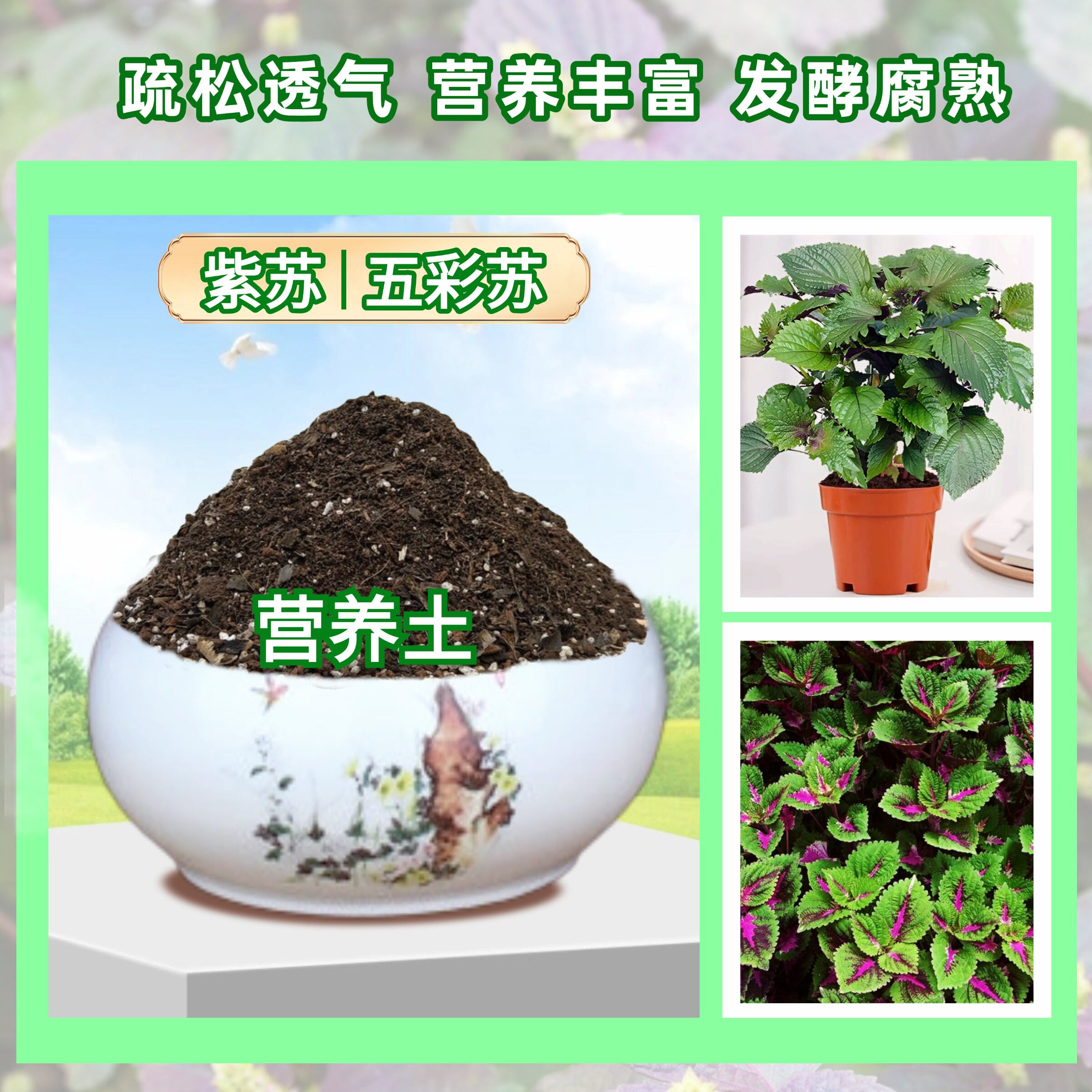 紫苏五彩苏彩叶草营养土疏松肥沃庭院阳台盆栽地栽植物专用种植土