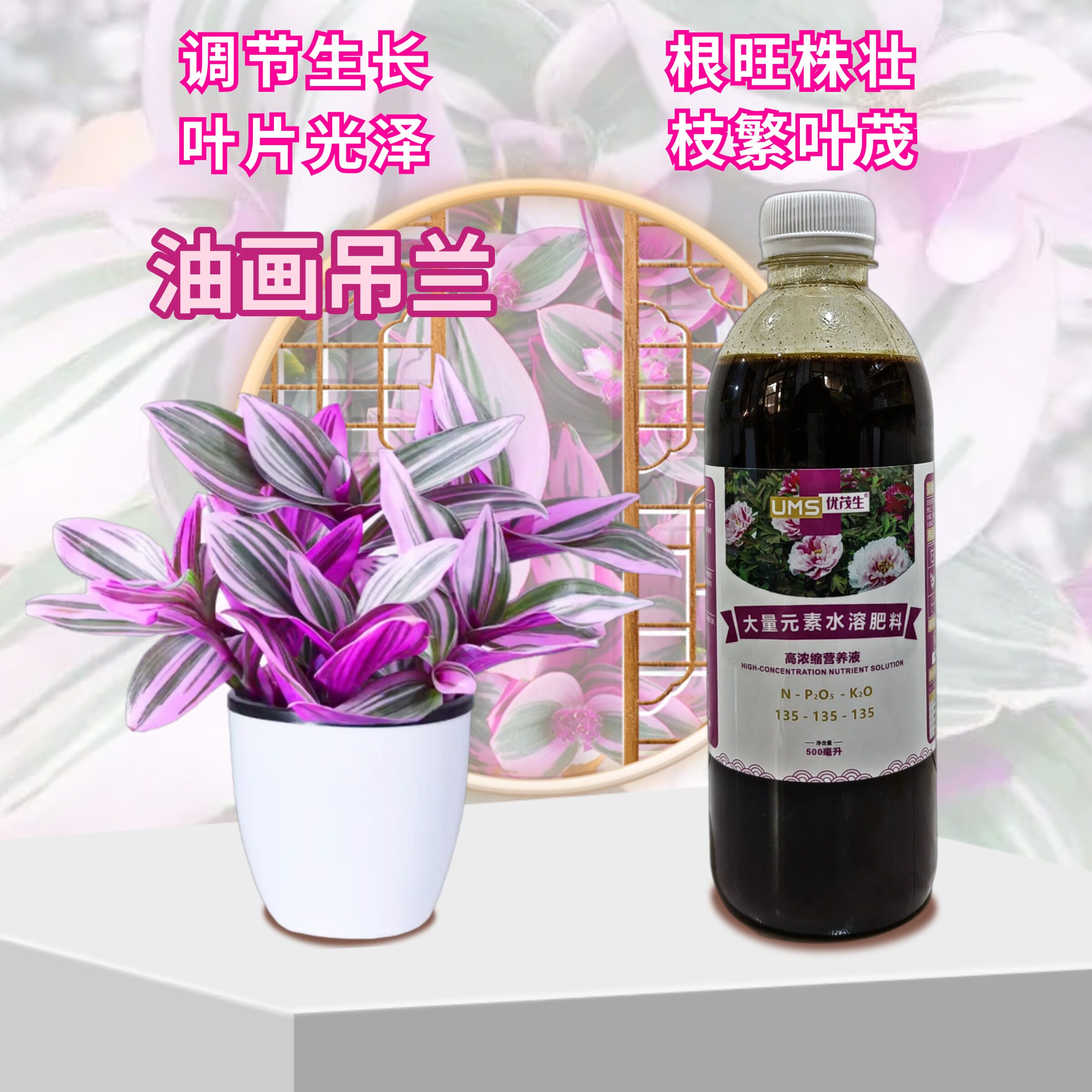 油画吊兰营养液水溶肥料图片