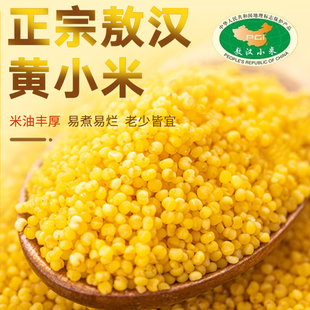 内蒙古赤峰市敖汉旗黄小米农家一类小米5斤装米
