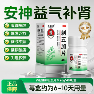 乔致庸 刺五加片0.26g*40片/盒治疗失眠多梦补肾安神睡眠差安眠助