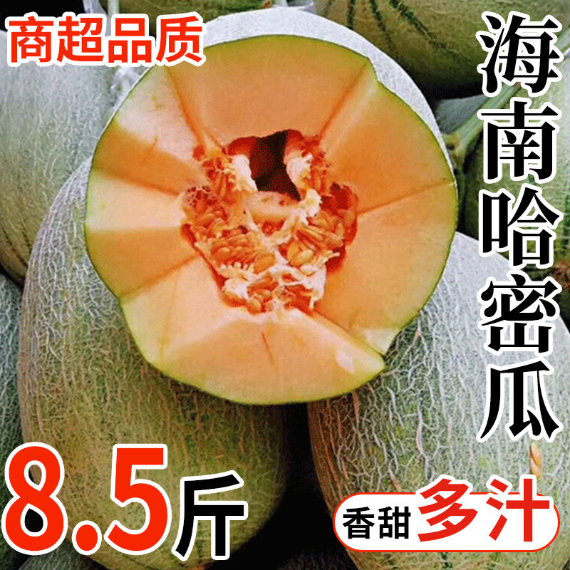 收藏加购，优先发出。
