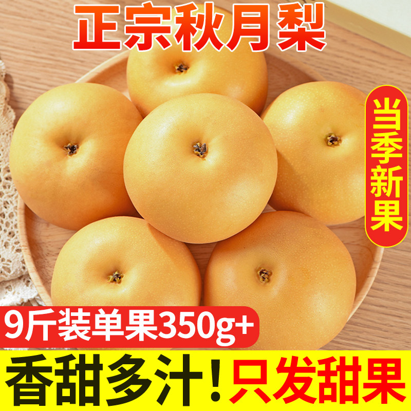 正宗秋月梨新鲜水果多汁美味
