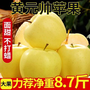 正宗黄元帅苹果原产地应当季新鲜水果多汁果园现摘香甜可口甜速发