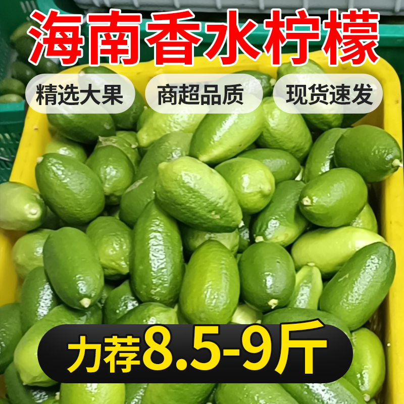 海南香水柠檬新鲜现摘无籽多汁青柠当季水果奶茶店专用整箱打包
