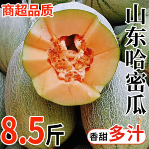 收藏加购，优先发出。