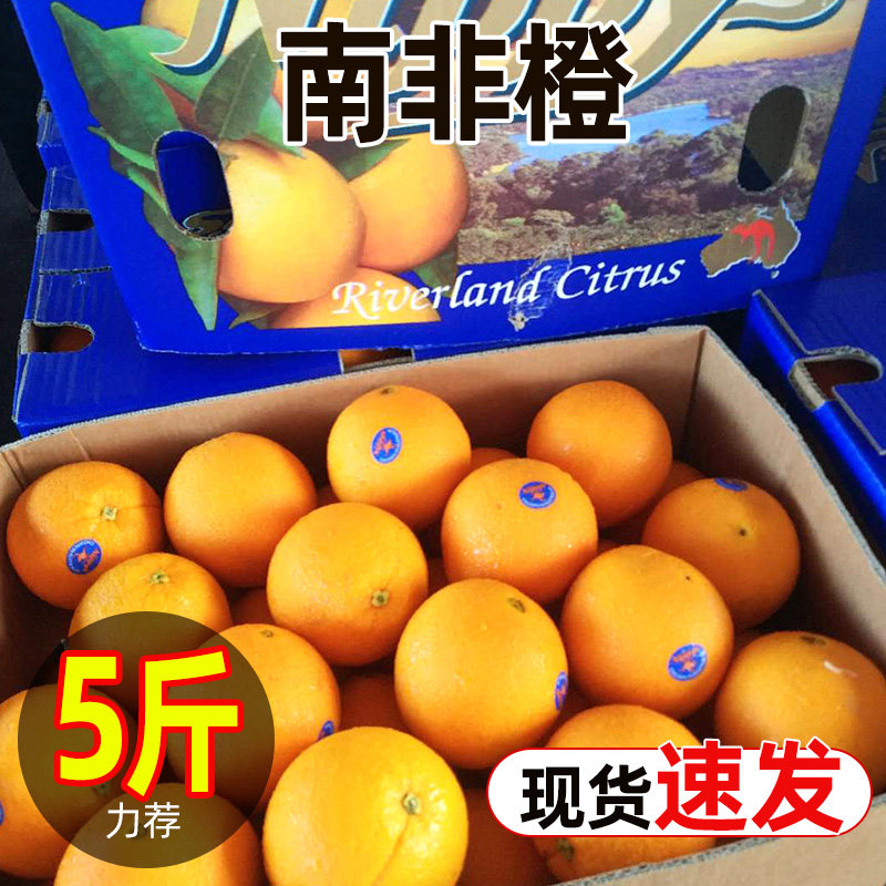 南非橙当季酸甜多汁当季时令水果