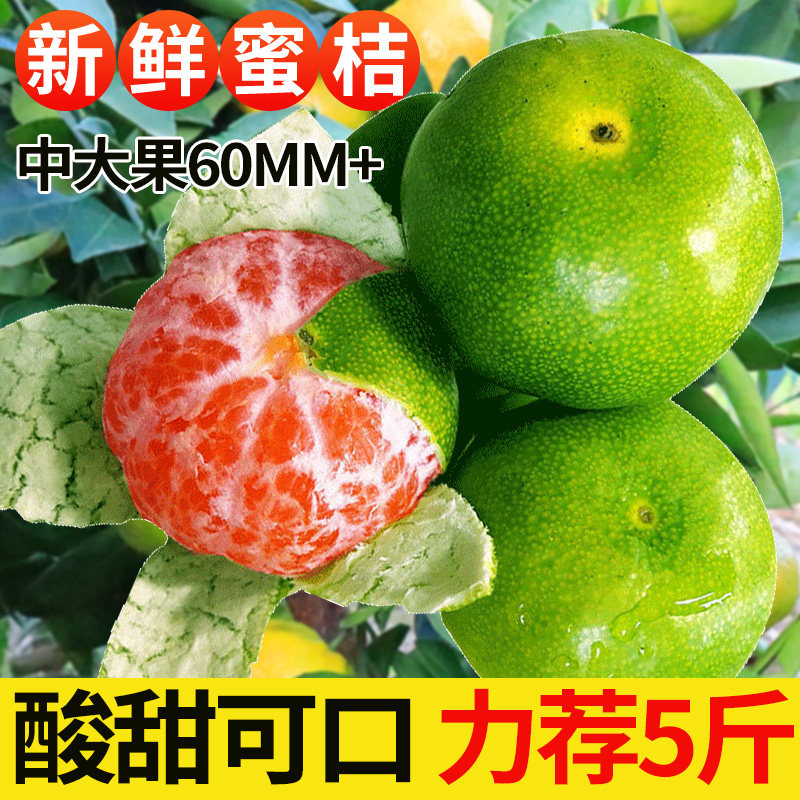 云南蜜桔原产地应当季园地现摘新鲜时令水果美味整箱采摘打包速发