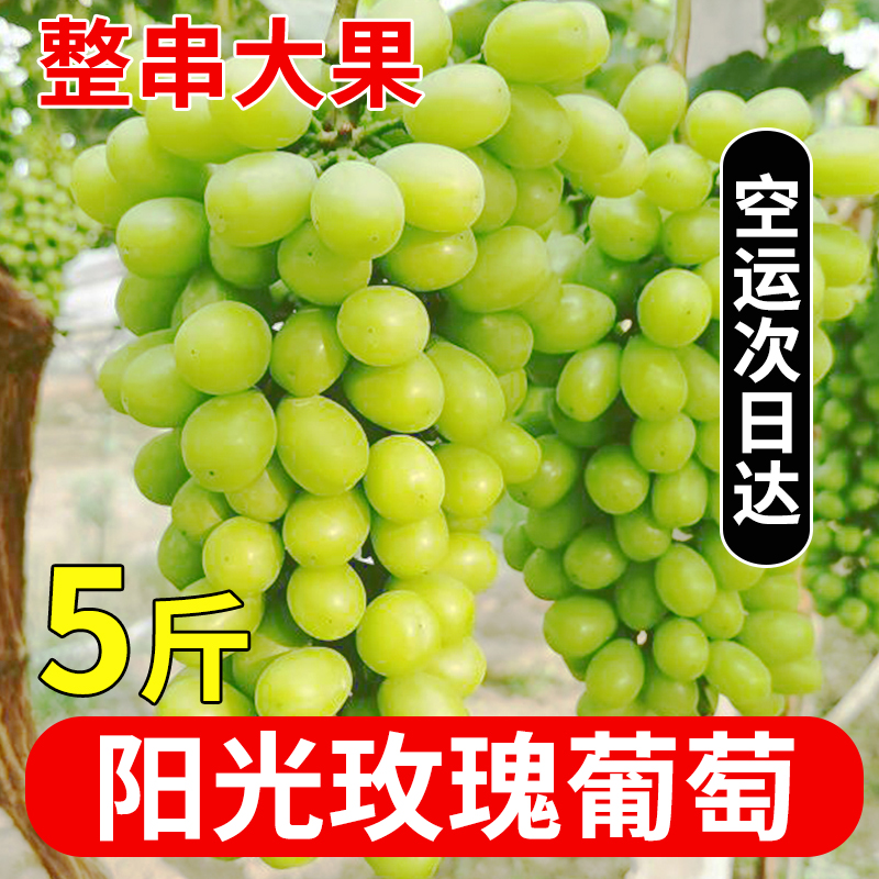 阳光玫瑰葡萄新鲜水果