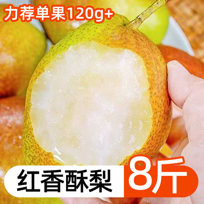 正宗红香酥梨皮薄新鲜水果多汁