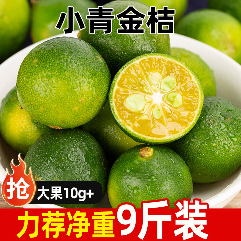 新鲜小青金桔青柠檬青柑金桔现摘
