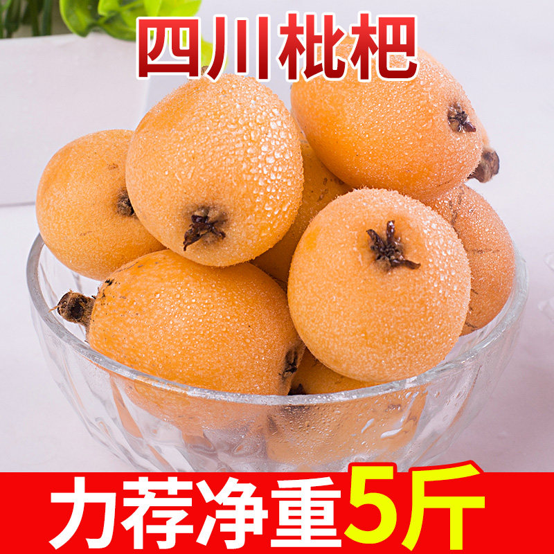 四川枇杷原产地应当季新鲜时令果