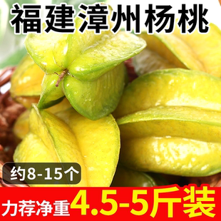 福建杨桃下河树杨桃五角星应当季时令应当季原产地新鲜水果整箱发