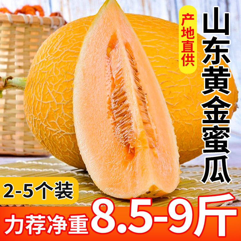 山东黄金蜜瓜哈密瓜新鲜水果