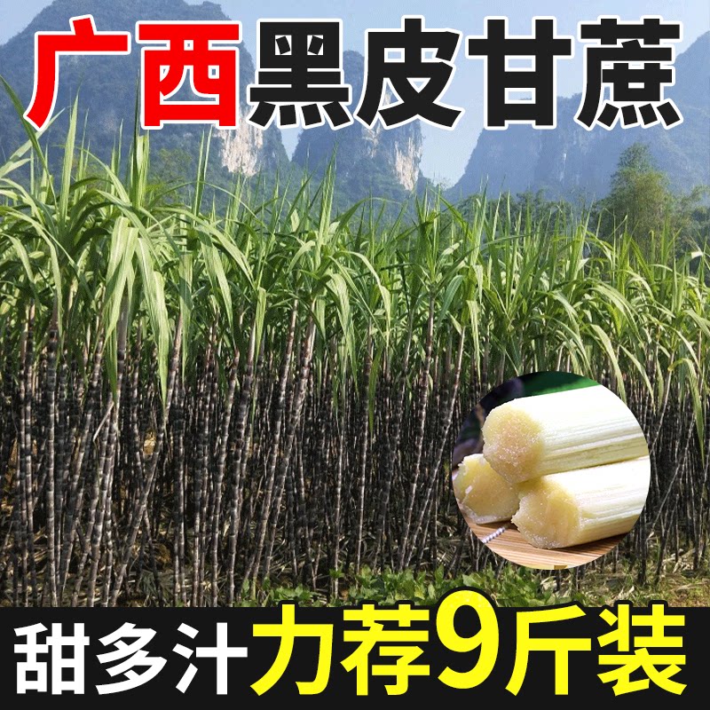 广西黑皮甘蔗时令鲜速发