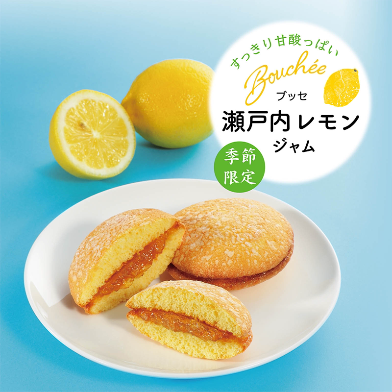 日本进口 文明堂奶油夹心蛋糕零食草莓味朗姆提子味巧克力礼盒