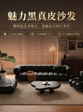 黑色复古直排沙发家用客厅皮艺沙发猫爪皮大沙发酒店休息区沙发