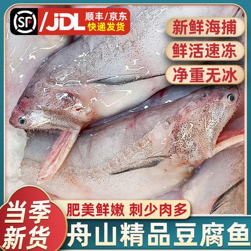 精品大号豆腐鱼净重无冰衣