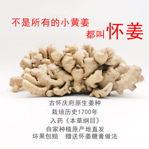 零农残2斤正宗焦作洪道怀姜老姜
