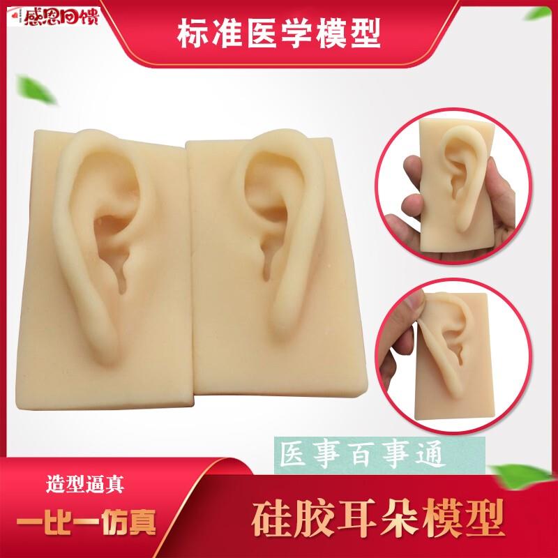硅胶耳朵模型 软TPR耳朵模型 厂家供应q仿真人耳 助听展示道具包