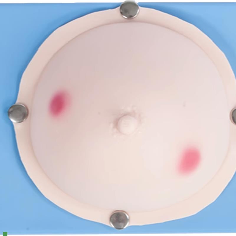 乳腺脓肿切开操作模x型乳腺脓肿检查训练模型