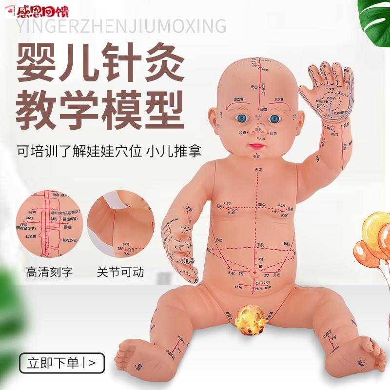 仿真婴儿针灸h模型穴位娃娃儿童人体模型针灸中医通用穴位小儿推