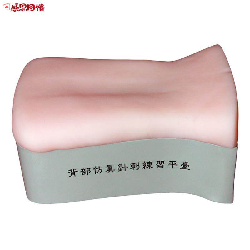 背部仿真针刺练习平M台 后背部针灸针刺训练模型 背部扎针练习模