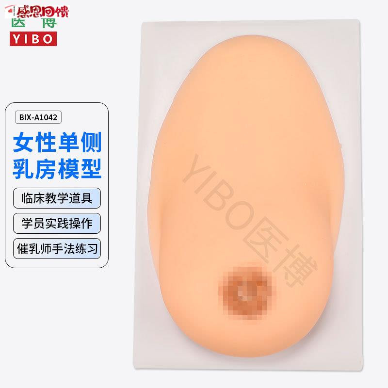 医博BIX-1042成人女性q单侧硅胶乳房模型 仿真触感 催乳手法训练