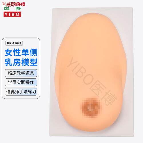 医博BIX-1042成人女性q单侧硅胶乳房模型 仿真触感 催乳手法训练