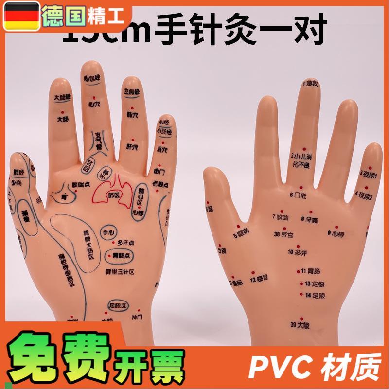 超清晰小儿手部反射区模型中医推拿针灸教学穴位模型X儿童仿真手