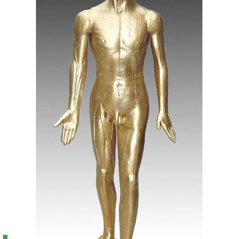 中医标准人体针灸铜人84CM(青铜色)练K习假人经络模具穴位橡皮人