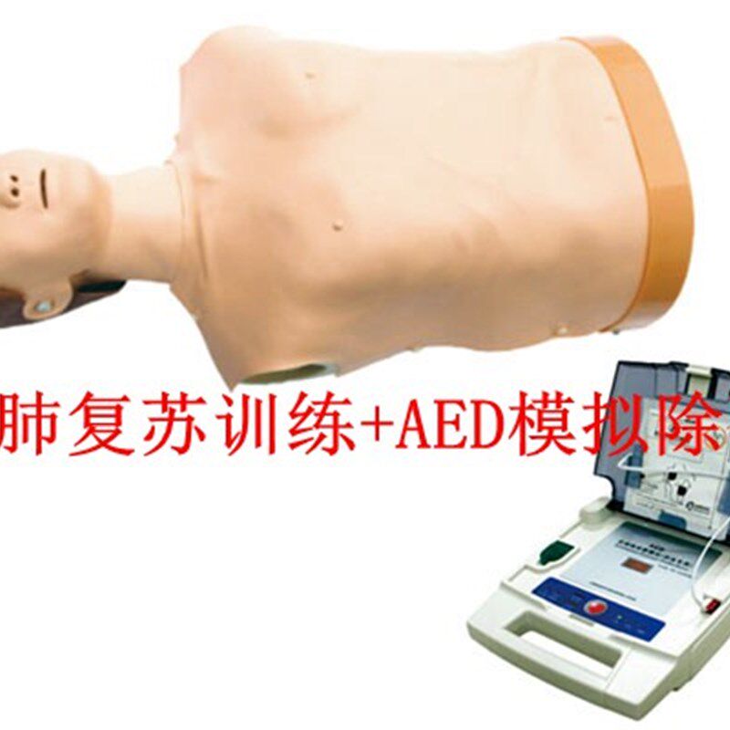 自动体外模拟除颤与CPR模拟人训练C组合 半身心肺复苏模型AED练习