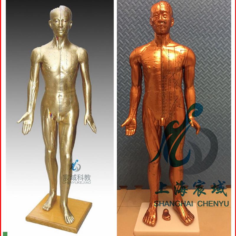 超清晰经络通j针灸铜人人体穴位模型中医针灸人模