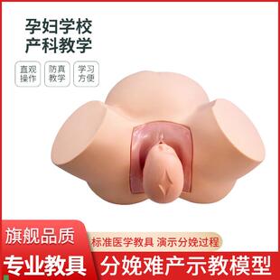分娩示教模型高级难产示教训练模D型妇产科难产助产分娩胎儿模型