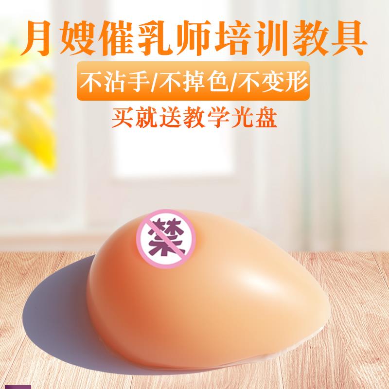 假乳义乳a女性乳房模型催乳师培训道具哺乳教学模具催乳教育