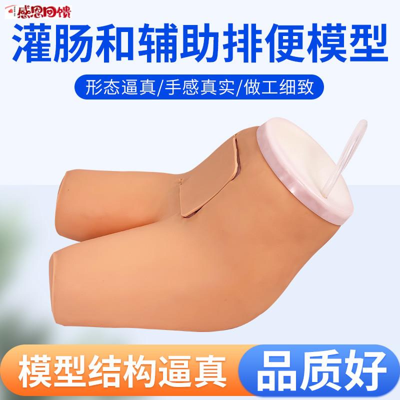 高级灌肠T和辅助排便训练模型,假人教学模型,教学道具护理模