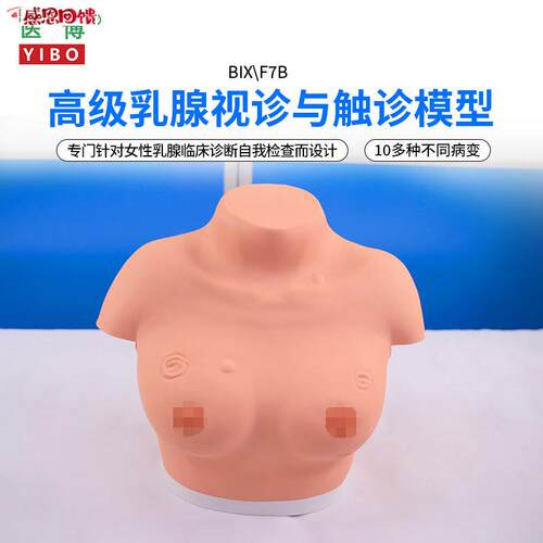 医博BIX-F7B高级乳腺视诊与触诊模型 乳q房检查模型 乳房乳腺病变