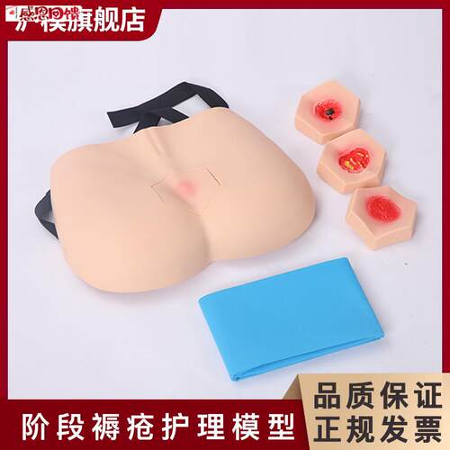沪模 HM/H90F阶段褥疮护理模型 成人臀部褥疮G护理模具 压疮护理