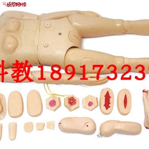 高级全功能护理人训练模型 组合式基础l护理训练模型