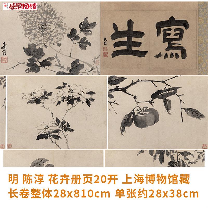 1:1明 陈淳 花卉册页20开真迹复制品28xc810cm上海博物馆藏