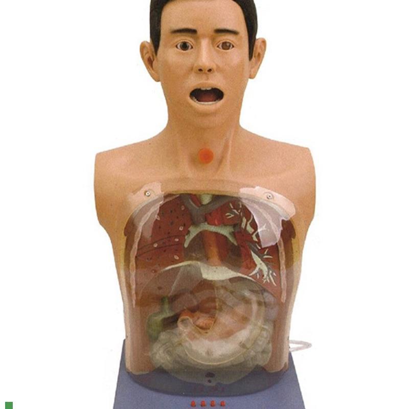 高级透明洗胃模型带警示医y学训练鼻饲气管切开护理教学模具